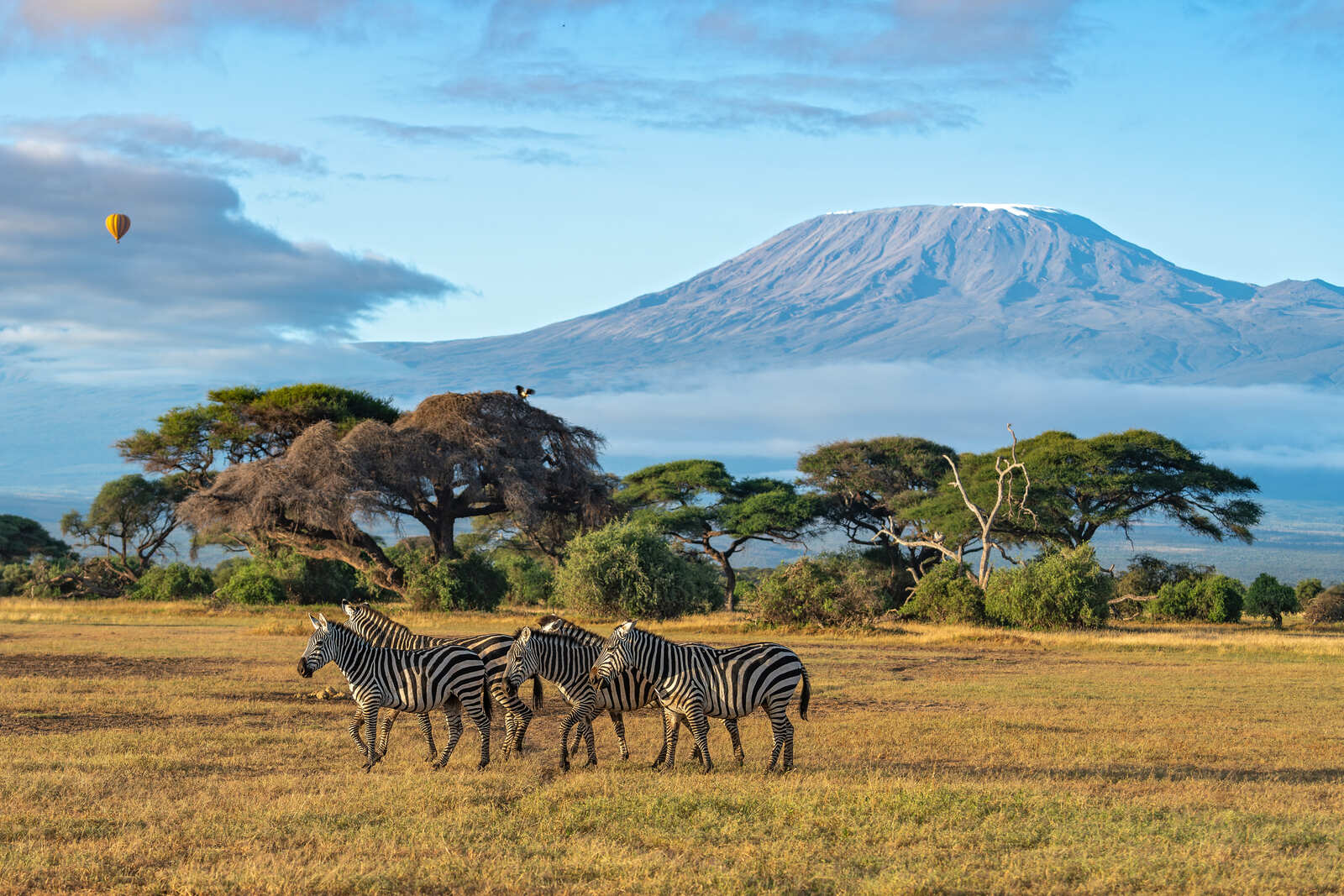 6-Day Kenya Wildlife Safari Holiday Itinerary