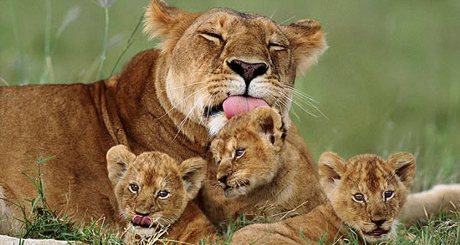 Queen Elizabeth National Park