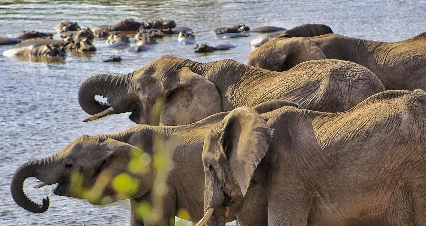 8-Day Tanzania Northern Circuit Safari