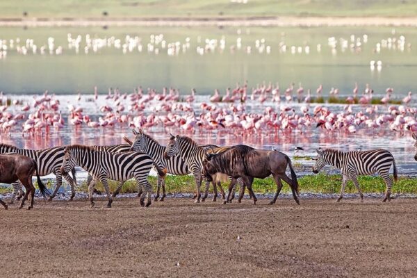 Lake-Manyara