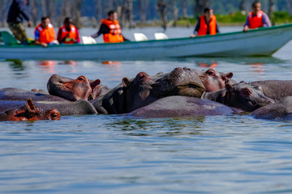Lake Naivasha National Park