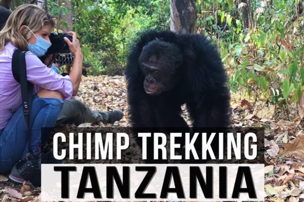 Mahale National Park